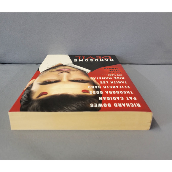 Handsome Devil Stories of Sin & Seduction Book Paperback 2013 - Picture 8 of 14